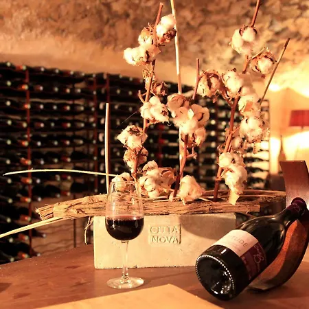 Domaine Les Mejeonnes 3* Valaurie